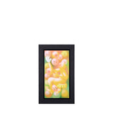 モンキーフラワー｜モンキーフラワー