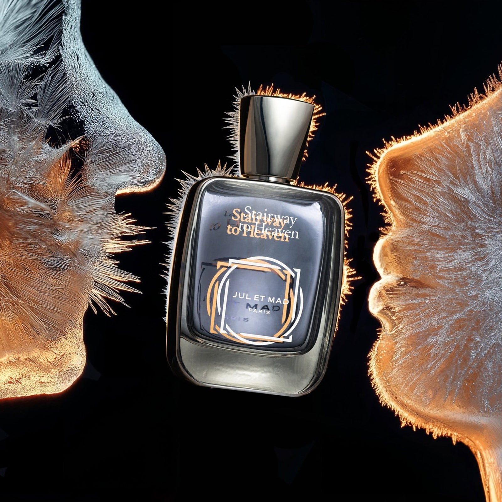 ステアウェイ トゥ ヘブン – NOSE SHOP