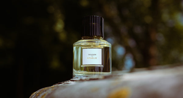 公式ノーズショップ – NOSE SHOP