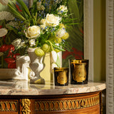 アブドエルカデル