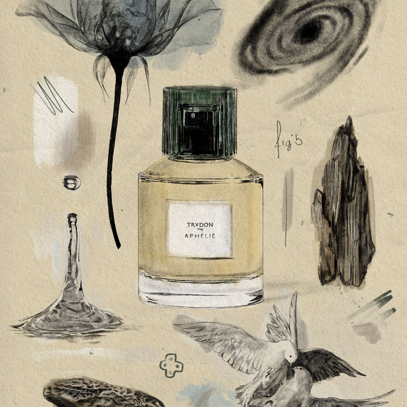 アフェリー – NOSE SHOP