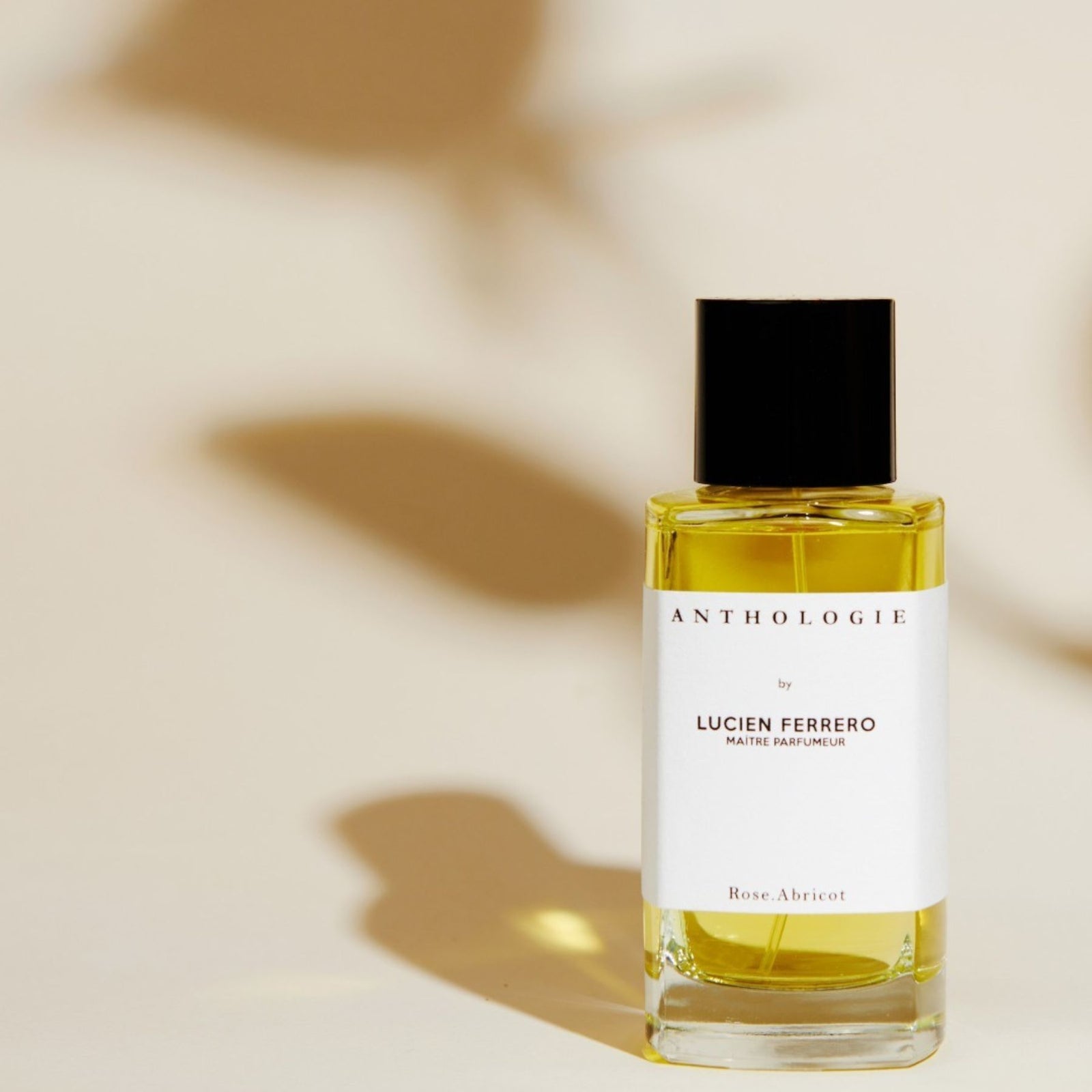ANTHOLOGIE LUCIE FERREIRO サクラアンぺリアル30ml 30pcsk_1600x.jpg?v=1698654310