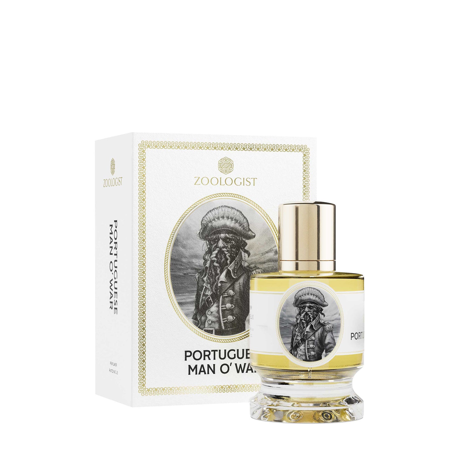 ポーチュギーズ マノウォー｜カツオノエボシ – NOSE SHOP