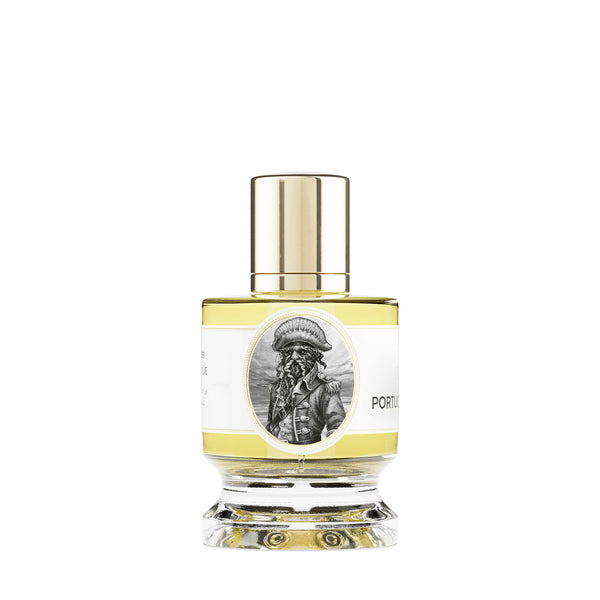 ポーチュギーズ マノウォー｜カツオノエボシ