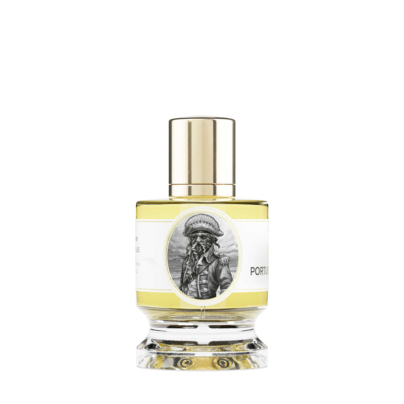 ポーチュギーズ マノウォー｜カツオノエボシ