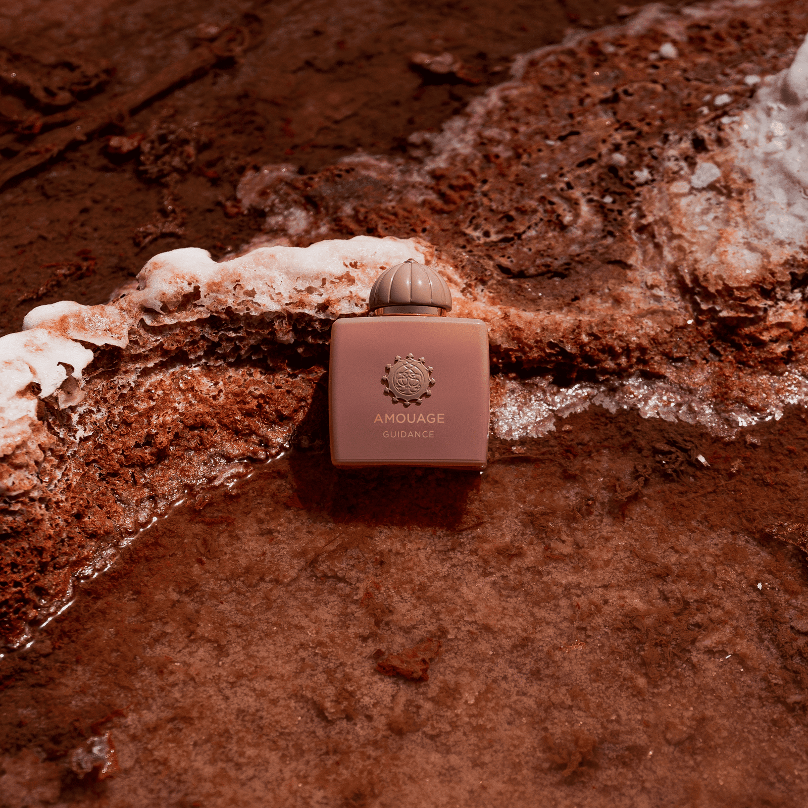 ガイダンス – NOSE SHOP ガイダンス – NOSE SHOP