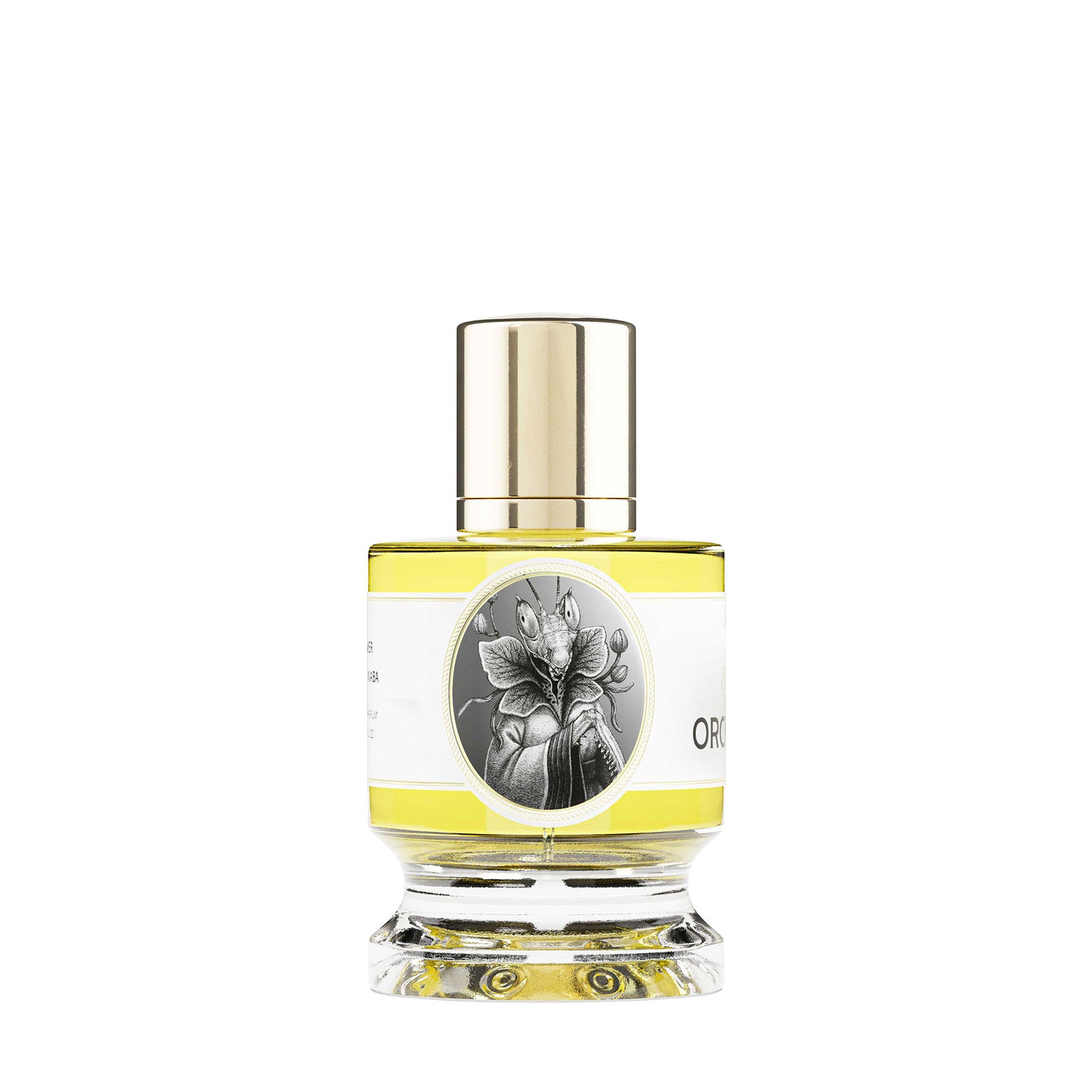 オーキッド マンティス｜ハナカマキリ – NOSE SHOP