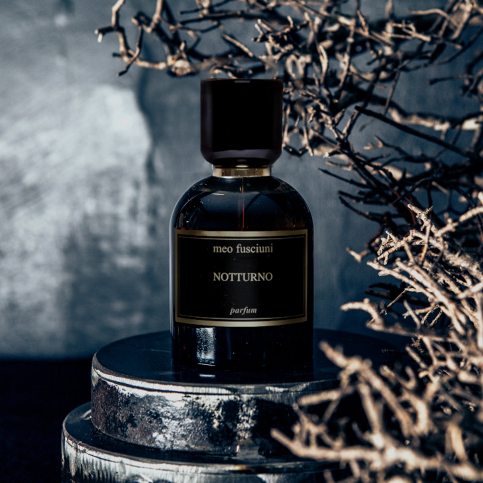 断捨離　Meo Fusciuni | パルファム ノットゥルノ　100ml ノットゥルノ – NOSE SHOP