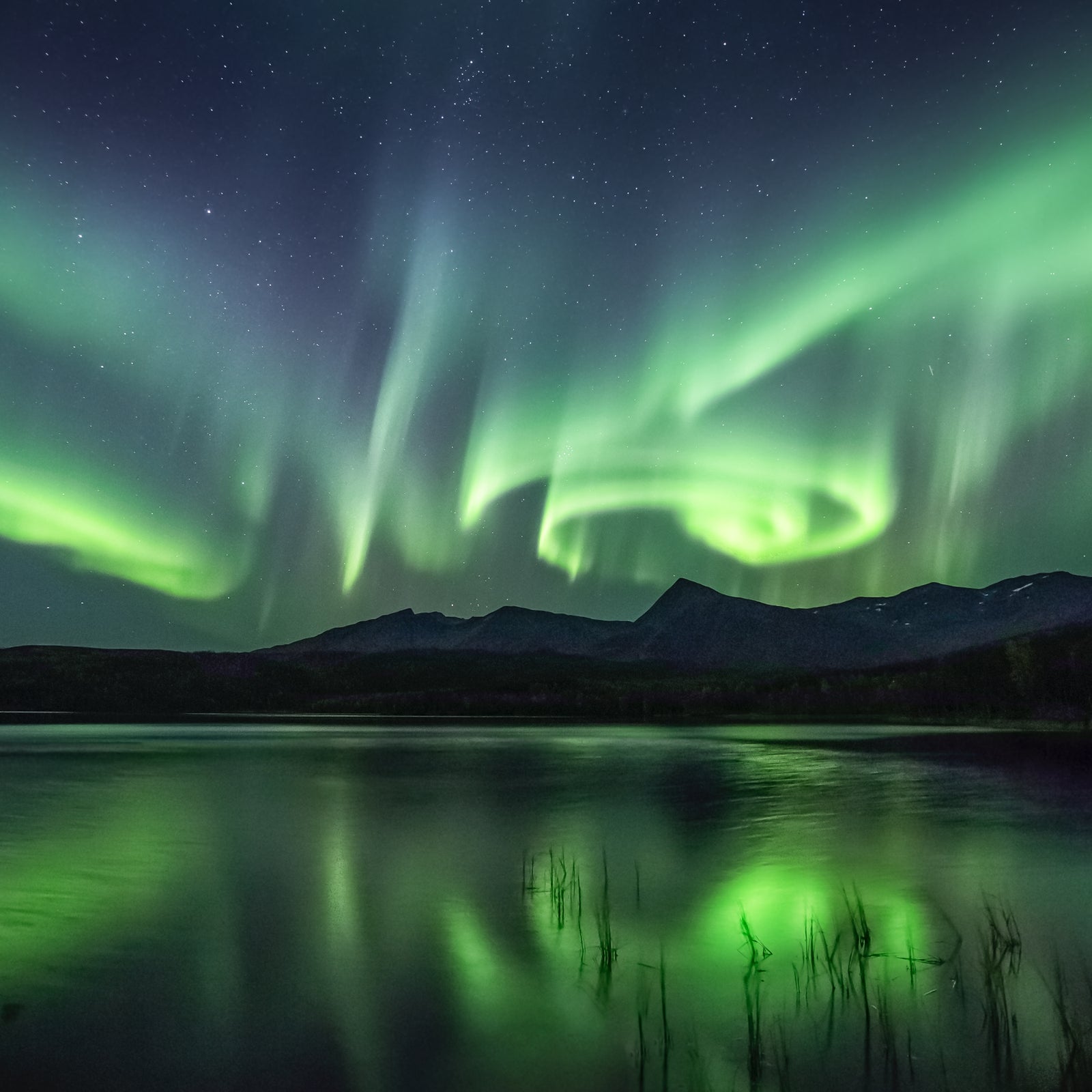 230202__02_1600x.jpg?v=1676368327