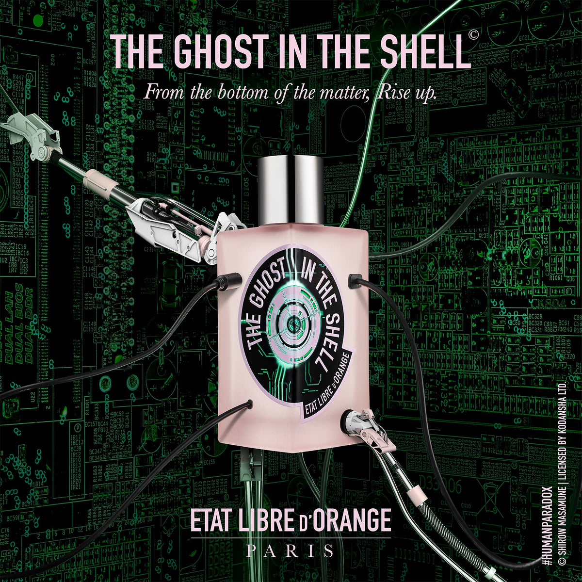 Etat Libre d'Orange(エタリーブルドオランジェ)