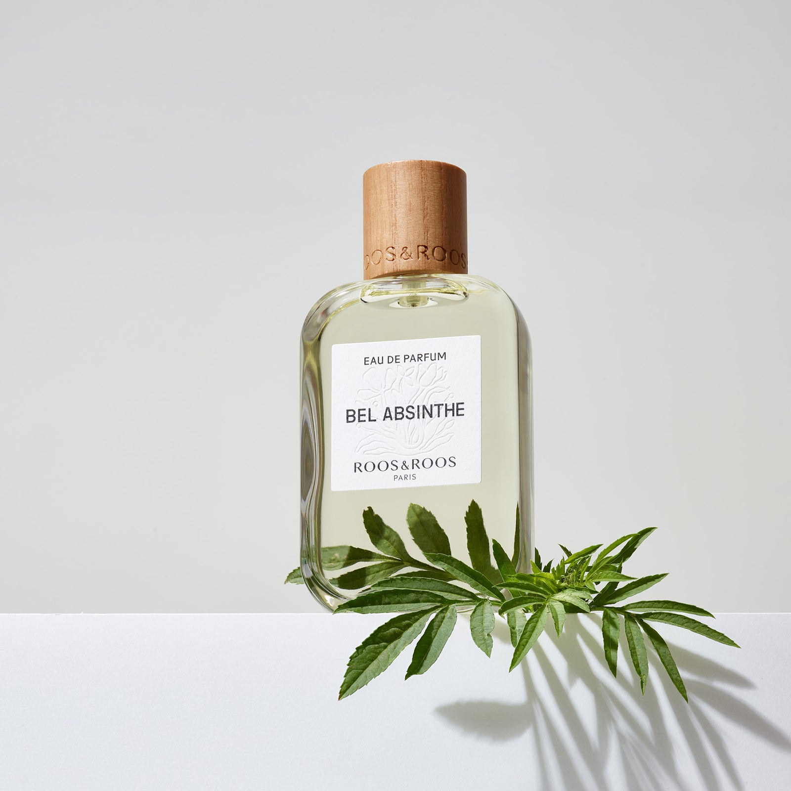 BEL ABSINTHE ROOS&ROOS 香水 Bel Absinthe Roos &amp; Roos perfume - a new fragrance