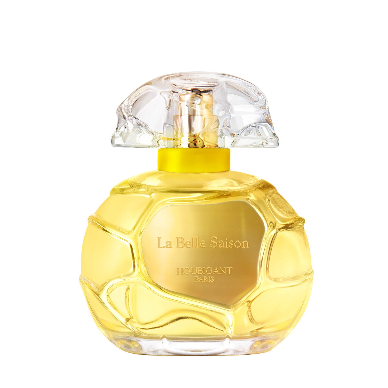 Mimosa Tanneron – Perris Monte Carlo