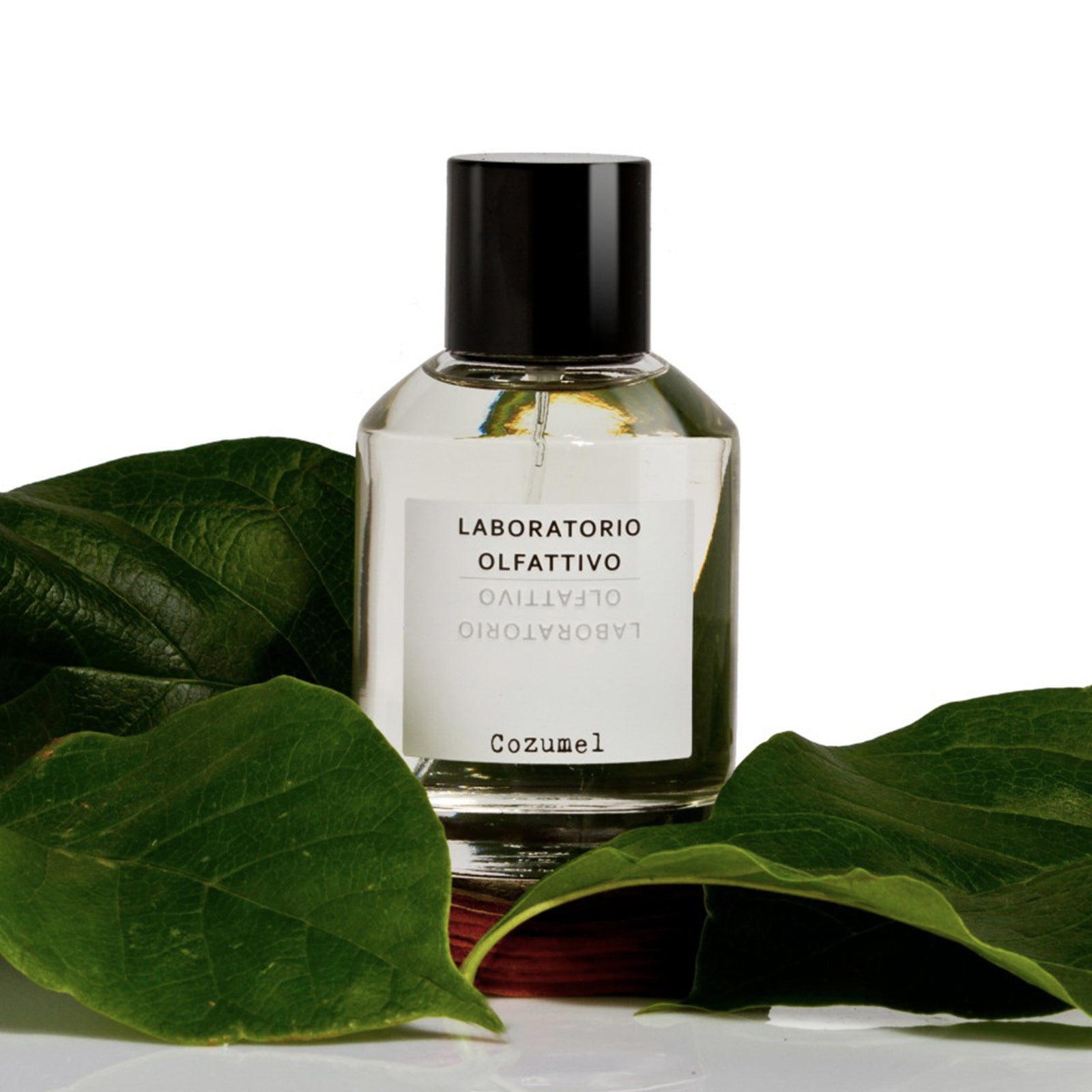高価値セリー LaboratorioOlfattivo_COZUMEL_2 香水(ユニセックス)