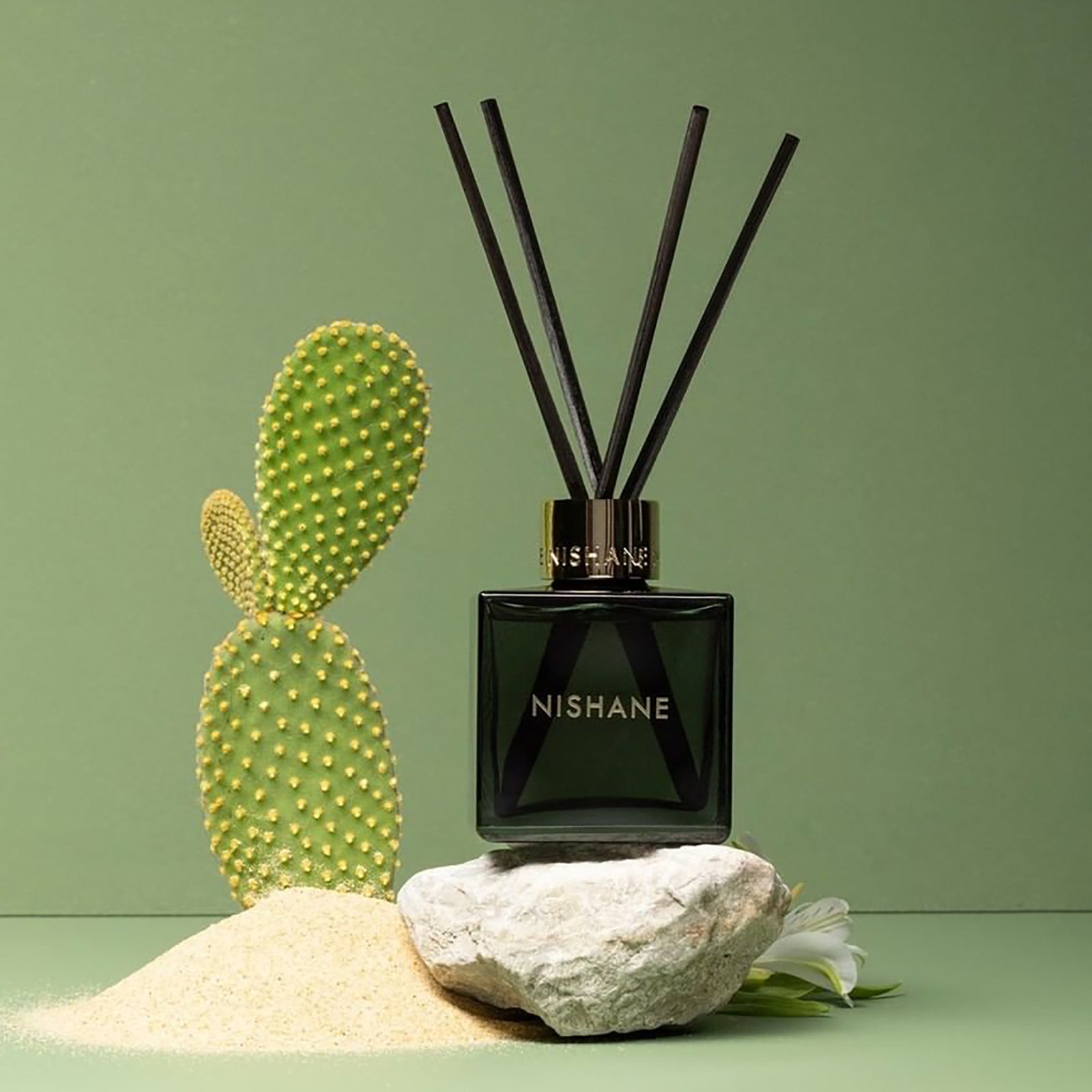 MEXICANWOODS_1600x.jpg?v=