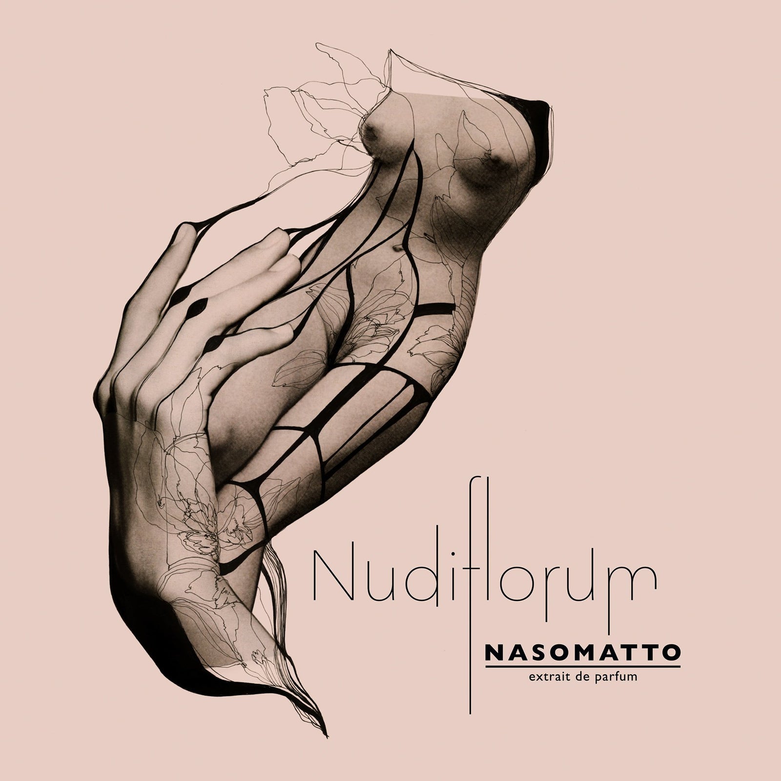 ヌーディフロールム｜素肌の欲望 – NOSE SHOP